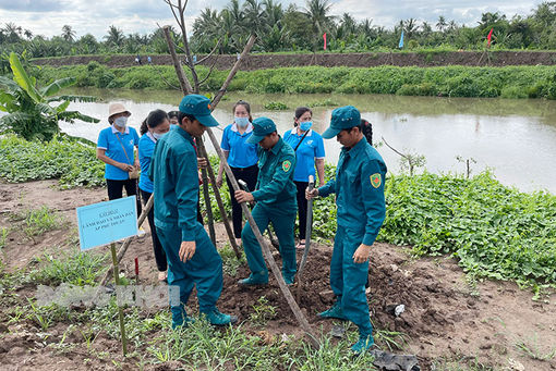 Đẩy nhanh tiến độ trồng rừng và trồng cây phân tán năm 2022
