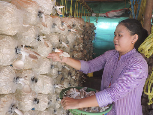 219 phụ nữ khởi nghiệp, khởi sự kinh doanh