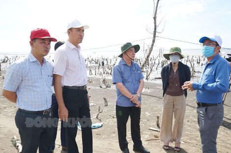 Chủ tịch UBND tỉnh Trần Ngọc Tam khảo sát sạt lở bờ biển Cồn Ngoài, Ba Tri