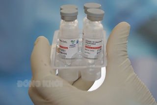 Ngày 19-10-2022, toàn tỉnh có 5 trường hợp mắc Covid-19 Ngày 19-10-2022, toàn tỉnh có 5 trường hợp mắc Covid-19