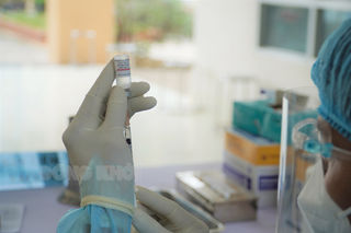 Ngày 23-10-2022, toàn tỉnh có 3 trường hợp mắc Covid-19 Ngày 23-10-2022, toàn tỉnh có 3 trường hợp mắc Covid-19