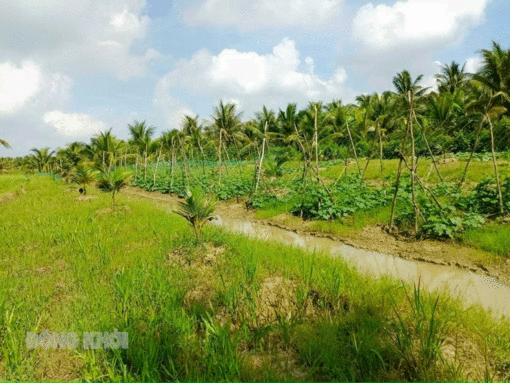 Quy định điều kiện tách, hợp thửa đất