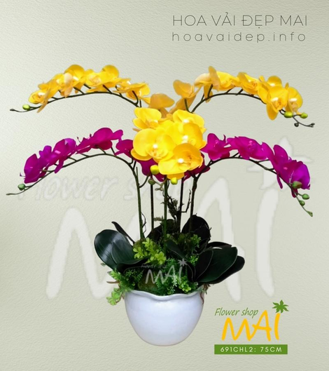 Hoa vải đẹp Mai - Nơi cung cấp hoa lan giả đẹp và chất lượng