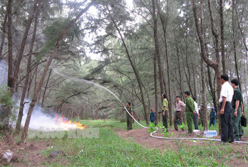 Kiểm tra công tác phòng cháy, chữa cháy rừng tại huyện Bình Đại