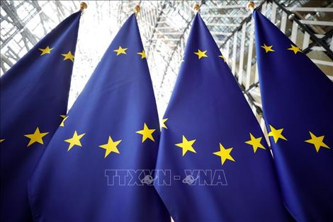 EU ghi nhận nỗ lực của Ukraine để đạt được tư cách thành viên