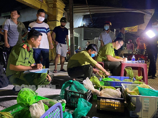 Phát hiện 30 cá thể cầy vòi hương trong xe ô tô 4 chỗ