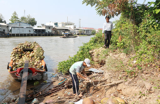 Sạt lở bờ sông Mỏ Cày ảnh hưởng nhiều công trình công cộng