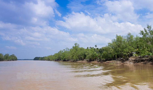 Độ mặn giảm dần trên các sông chính