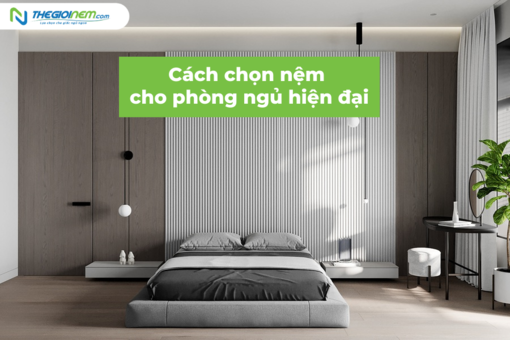 Cách chọn nêm, đệm phù hợp cho không gian nhà ở hiện đại