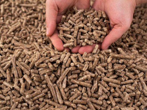 Viên nén gỗ - Giải pháp thân thiện với môi trường cho ngôi nhà của bạn Viên nén gỗ - Giải pháp thân thiện với môi trường cho ngôi nhà của bạn