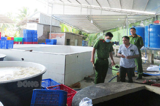 Xử phạt 1 cơ sở sơ chế cơm dừa gây ô nhiễm môi trường