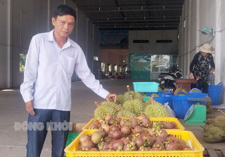 Đảng viên tiêu biểu học tập và làm theo Bác