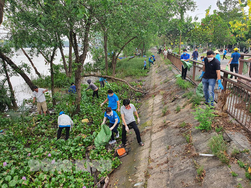 TP. Bến Tre ra quân vớt rác trên sông Bến Tre