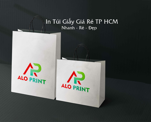 In túi giấy giá rẻ theo yêu cầu tại TP. Hồ Chí Minh