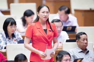 Đại biểu Quốc hội đơn vị tỉnh Bến Tre góp ý dự thảo Luật Phòng thủ dân sự