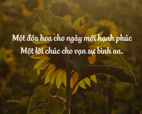 Lời chúc sức khỏe cho người lớn mang ý nghĩa tốt đẹp