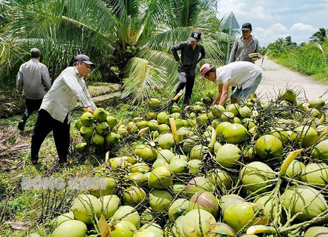 Phát triển nông nghiệp và nông thôn bền vững