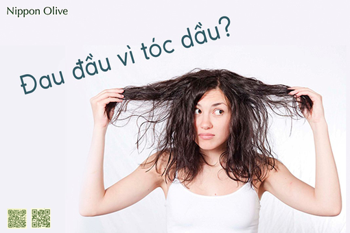 Những công dụng của dầu oliu với tóc dầu bạn nên biết