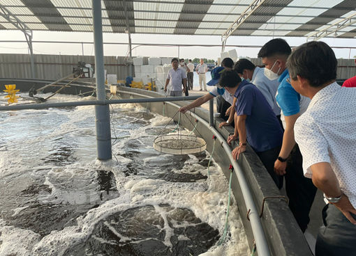 Đẩy mạnh tuyên truyền về tài nguyên, môi trường biển