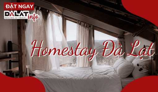 Tại sao nên chọn homestay khi đi du lịch Đà Lạt cùng Dalat-info? Tại sao nên chọn homestay khi đi du lịch Đà Lạt cùng Dalat-info?