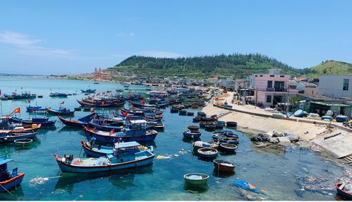 Kinh nghiệm du lịch Lý Sơn 2 ngày 1 đêm