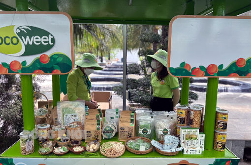 Chú trọng phát triển doanh nghiệp tư nhân