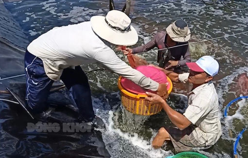 Chương trình “Thu vỏ cũ đổi sản phẩm mới”