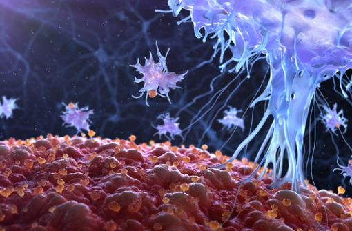 Kame Fucoidan - Đánh thức sức mạnh miễn dịch, chìa khóa phòng ung thư Kame Fucoidan - Đánh thức sức mạnh miễn dịch, chìa khóa phòng ung thư