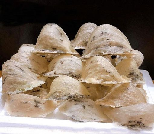 Mua Yến Sào ở Đâu Tốt TPHCM? Địa Chỉ Mua Yến Sào 100% Tự Nhiên