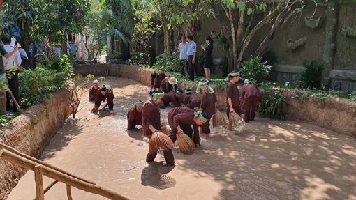 Đi du lịch trải nghiệm ở Bến Tre với thú vui bắt cá