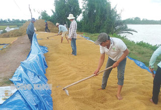 Tiếp tục đổi mới, nâng cao và phát triển kinh tế tập thể