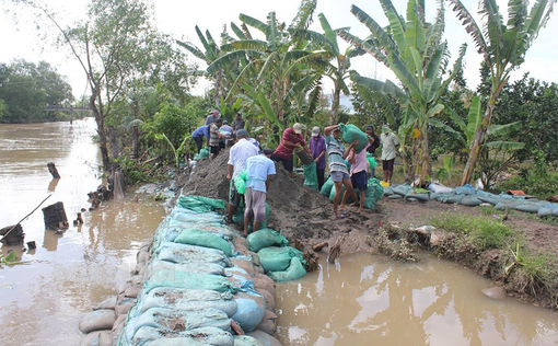 Chủ động ứng phó triều cường, mưa, bão trong thời gian tới
