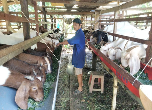 Gương thanh niên vượt khó, thoát nghèo bền vững