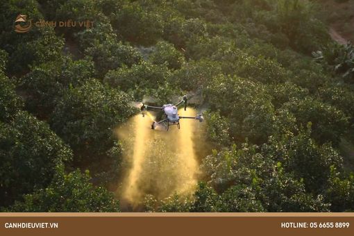 Cánh Diều Việt - Nhà phân phối máy bay phun thuốc DJI T50 chính hãng Cánh Diều Việt - Nhà phân phối máy bay phun thuốc DJI T50 chính hãng