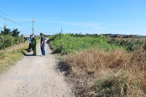 Thẩm định hồ sơ Báo cáo nghiên cứu khả thi Dự án cầu Ba Lai 8 và phần đường