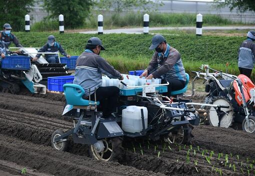 Chính phủ Thái Lan lên kế hoạch vay 14 tỷ USD để thúc đẩy nền kinh tế