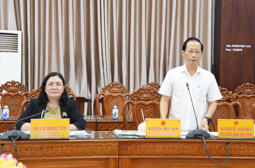 Lãnh đạo tỉnh làm việc với Công ty cổ phần Tập đoàn Đèo Cả