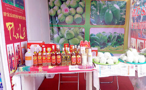 Phú Lễ phấn đấu xây dựng thành công xã nông thôn mới