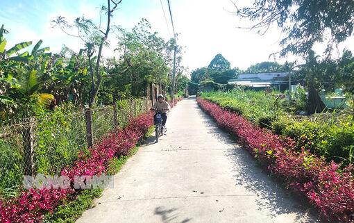 Ấp Giồng Ông Xòm đạt chuẩn ấp văn hóa kiểu mẫu