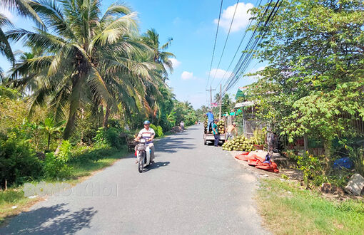 Bến Tre tiếp tục thực hiện 4 tiêu chí “cứng” trong xây dựng nông thôn mới