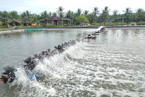 Bình Đại thực hiện đạt 21/22 chỉ tiêu phát triển kinh tế - xã hội năm 2023