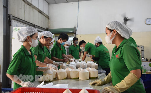 Quyết tâm thực hiện các nhiệm vụ, góp phần phát triển kinh tế - xã hội năm 2024