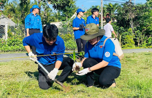 Đồng bộ các giải pháp trồng cây xanh năm 2024