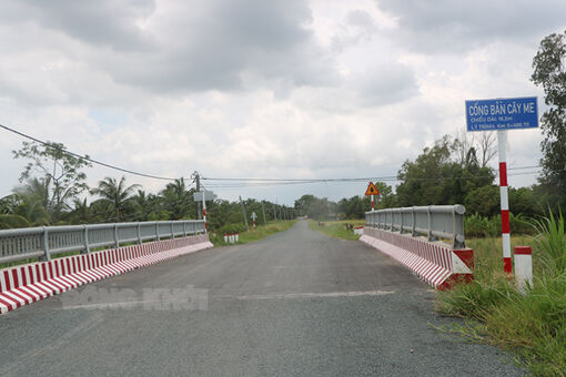 Bình Đại trên đường phát triển