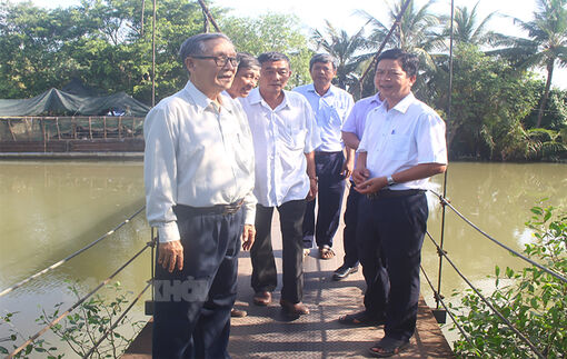 Vận động hỗ trợ từ xây cầu cáp treo đến cầu bê-tông