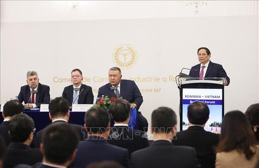 Thủ tướng Phạm Minh Chính và Thủ tướng Romania cùng dự Diễn đàn Doanh nghiệp Việt Nam - Romania