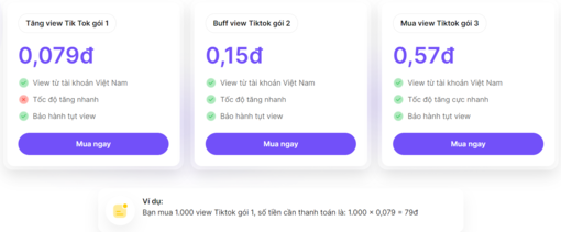 Dịch vụ tăng view Tik Tok uy tín &amp; giá rẻ tại Vnfame