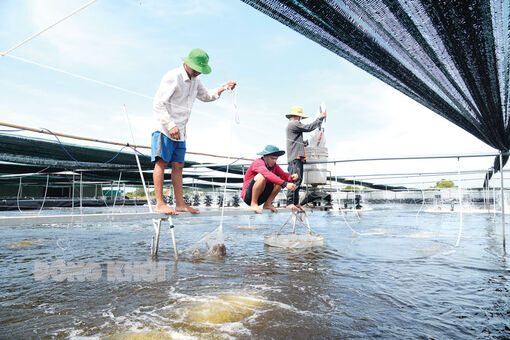 Chuyển biến từ thực hiện 2 nhiệm vụ trọng tâm, đột phá