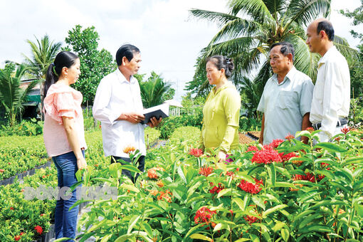 Giữ vững kỷ cương trong Đảng để lãnh đạo phát triển kinh tế - xã hội