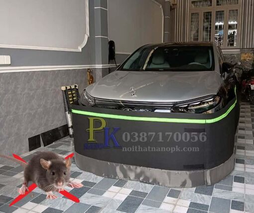 Nanopk - Thương hiệu uy tín cho việc chống chuột vào khoang máy ô tô hiệu quả tuyệt đối bằng lưới quây chống chuột ô tô